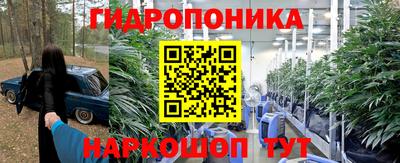 трава Северобайкальск