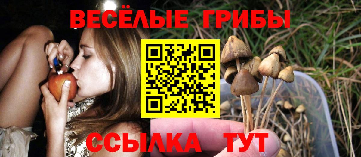 Санкт-Петербург  Галлюциногенные грибы Cubensis  Вход с VPN 