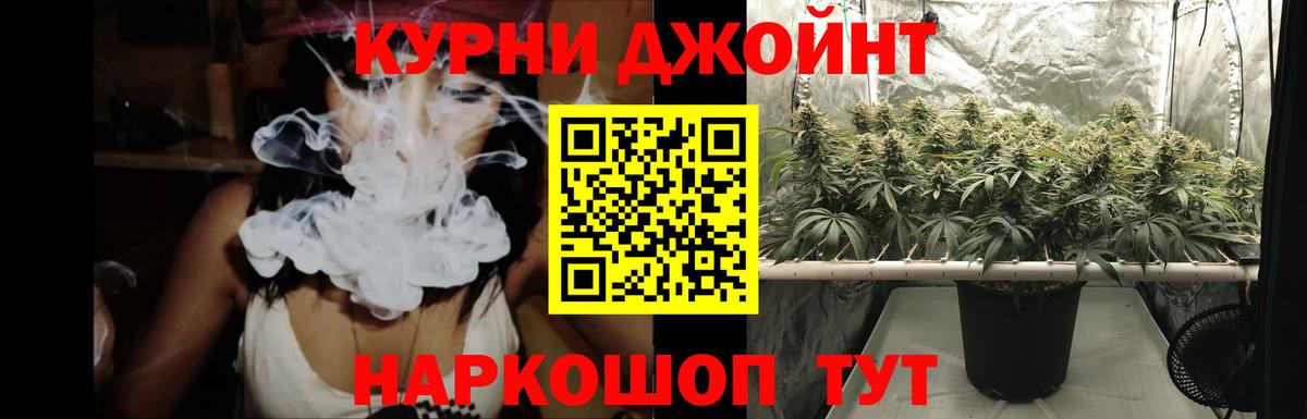 Каннабис MAZAR Санкт-Петербург